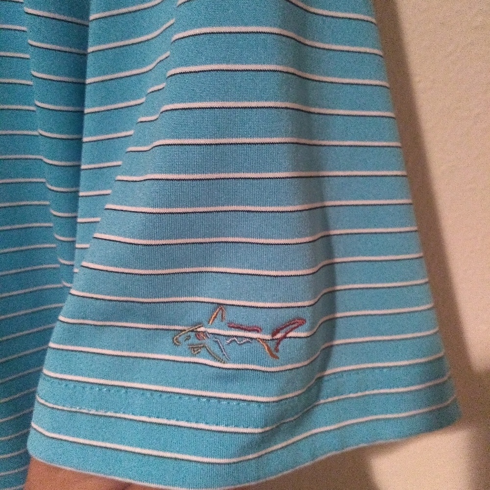 Striped blue golf polo